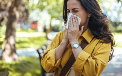 Toronto is seeing an ‘explosion of pollen’ this allergy season. Here’s why | CTV News Toronto