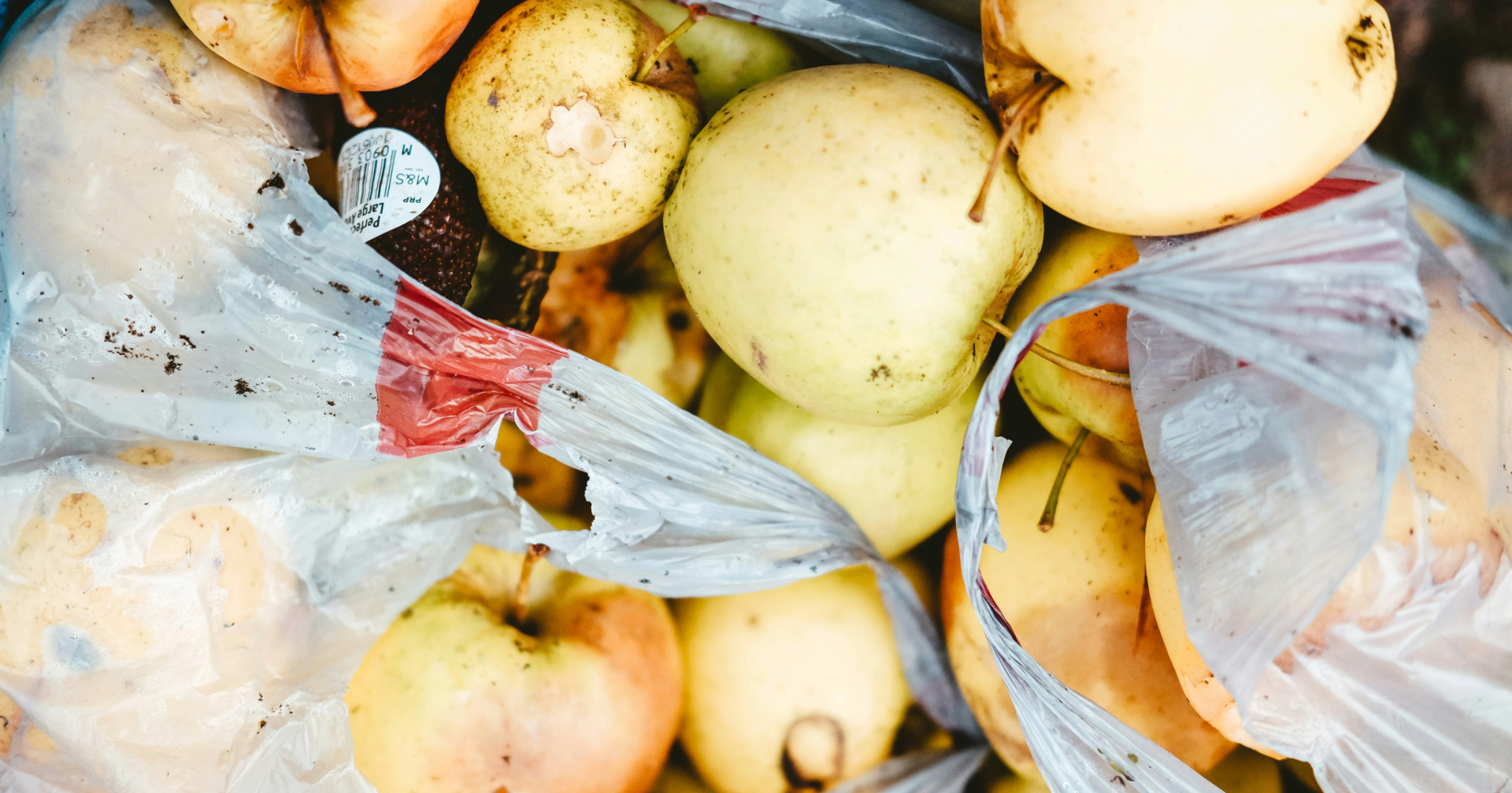 Expert insight: How ‘perceived scarcity’ drives our grocery shopping – and more waste