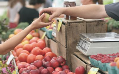 Food banks forced to turn away people due to demand: survey | Global News