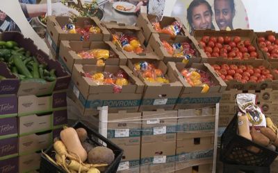 Food banks forced to turn away people due to demand: survey | Global News